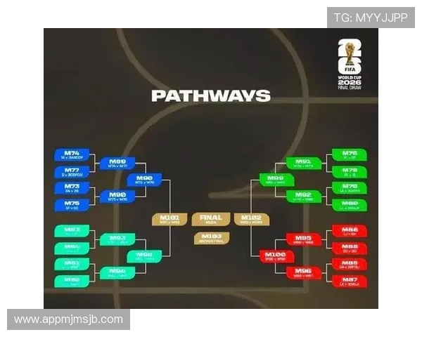 2026年世界杯名额分配图完整解读，分析各大洲参赛名额调整背后的原因与未来趋势