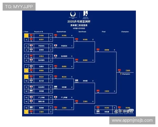 2026年世界杯晋级球队最新动态,关注各大洲晋级形势与潜在黑马球队