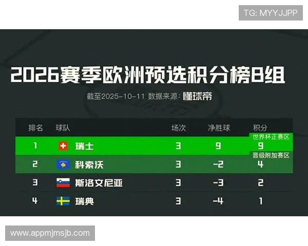 世界杯四强名单最新公布，详细分析各队晋级之路与未来展望