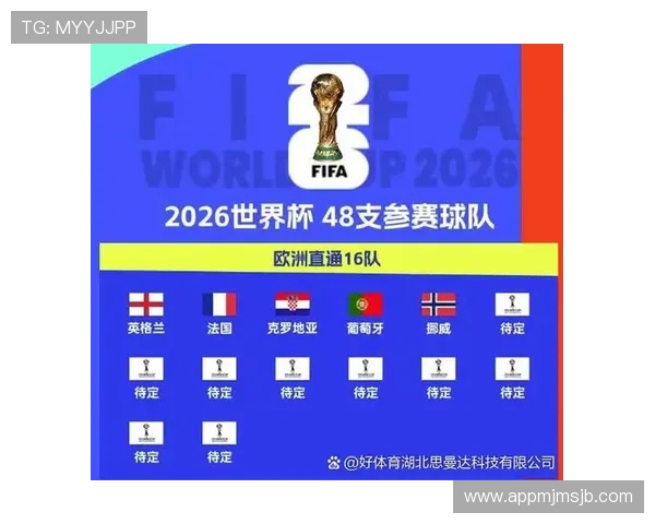 2026年世界杯欧洲区预选赛积分榜最新排名及球队积分变化情况 2026年世界杯欧洲区预选赛积分榜最新排名及球队积分变化情况