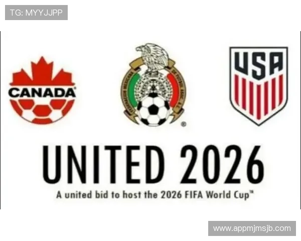 足球世界杯预选赛积分榜最新排名公布，分析各队晋级形势与潜在冲突点