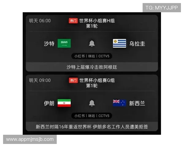 世界杯伊朗新西兰比赛在哪些电视台可以免费观看及观看方式介绍
